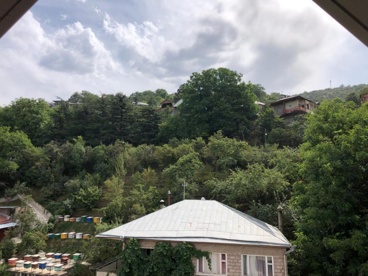 Cozy Apartment For Real Rest Dilijan Exterior photo